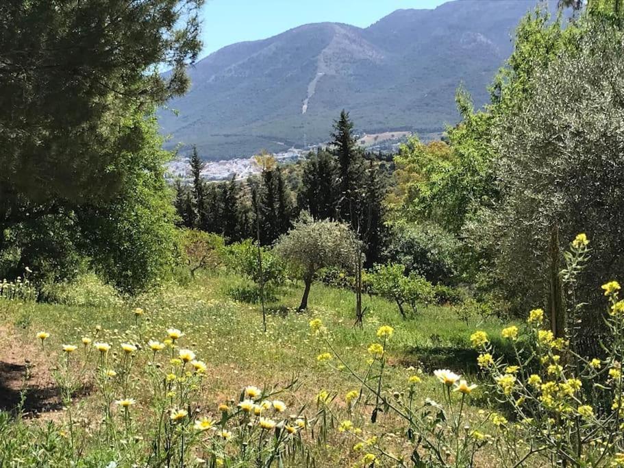 Penthouse Apartment, Cortijo Fruitful Hills มาลากา ภายนอก รูปภาพ