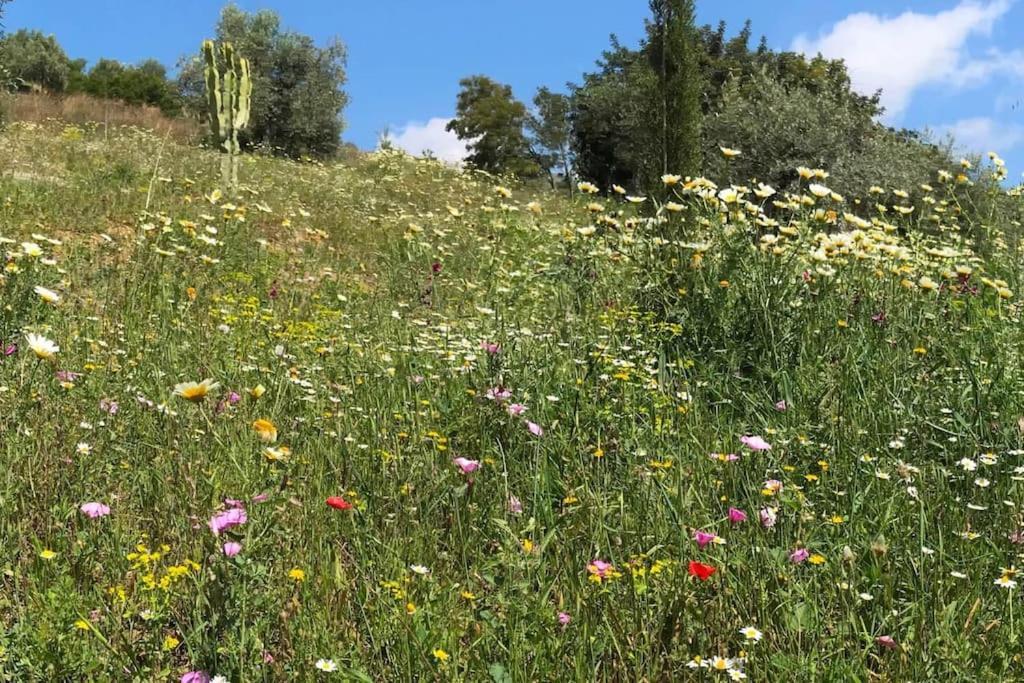 Penthouse Apartment, Cortijo Fruitful Hills มาลากา ภายนอก รูปภาพ
